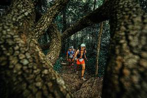 BIB: 
                            <button type="button" onclick="openModal(25670339)" class="btn btn-primary btn-sm float-right btn-popup" data-toggle="modal" data-target=".modal-high-quality">
                        <i class="fas fa-shopping-cart"></i> Add to Cart
                    </button>
                                            <button type="button" onclick="isThisMe(25670339, true)" class="btn btn-success btn-sm float-right btn-popup btn-isme hidden" data-toggle="tooltip" data-placement="bottom" title="นี่คือรูปของคุณใช่ไหม คลิกที่นี่เพื่อเอาเข้าอัลบั้ม">
                        <i class="fas fa-plus"></i> Add to album
                    </button>
                    <button type="button" onclick="isThisMe(25670339, false)" class="btn btn-warning btn-sm float-right btn-popup btn-isnotme hidden">
                        <i class="fas fa-ban"></i> Remove from album
                    </button>